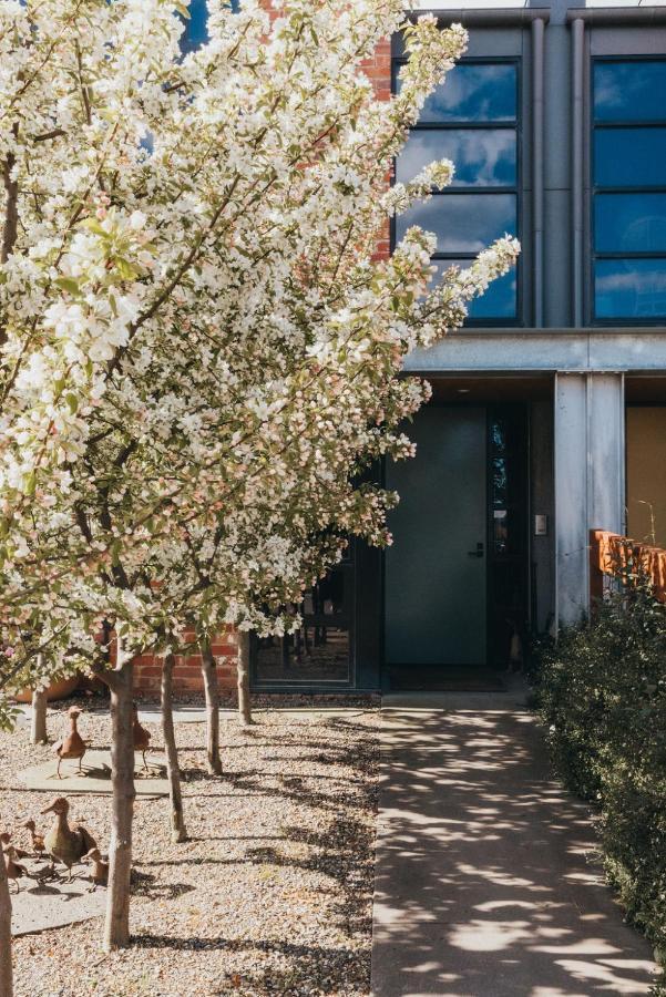 Mews Cottages Gisborne Exterior foto
